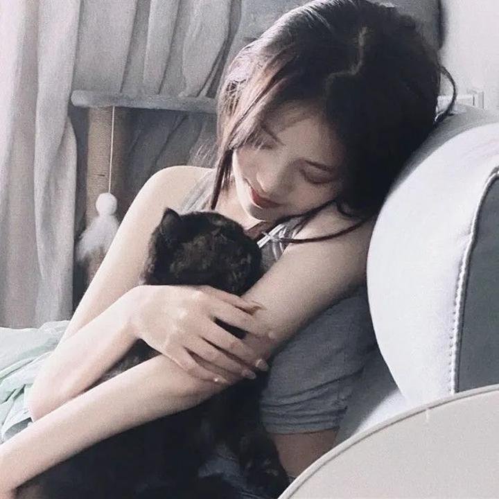 科搜研之女 剧场版